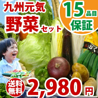 野菜　九州元気野菜セット 　＋　レビューを投稿のお客様限定！...